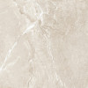 Керамогранит Вайлд Голд 60×60