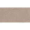 Керамогранит Стокгольм 57×114 сатинированная (GFA114STM50R)