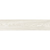 Керамогранит Андора 20×90 матовая (GFA92ADR04R)