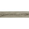 Керамогранит Алмонд 20×90 матовая (GFA92AMD40R)