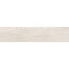 Керамогранит Женева 20×90