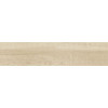 Керамогранит Шервуд 20×90 матовая (GFA92SWD04R)