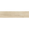 Керамогранит Шервуд 20×90 матовая (GFA92SWD04R)