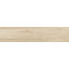 Керамогранит Шервуд 20×90 матовая (GFA92SWD04R)