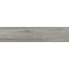 Керамогранит Шервуд 20×90 матовая (GFA92SWD07R)