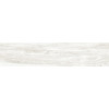Керамогранит Вандервуд 20×90 матовая (GFA92WDW07R)