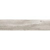 Керамогранит Вествуд 20×90 матовая (GFA92WTD04R)