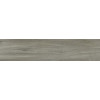 Керамогранит Вествуд 20×90 матовая (GFA92WTD44R)