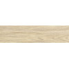 Керамогранит Аспен каштановый 15,1×60,2