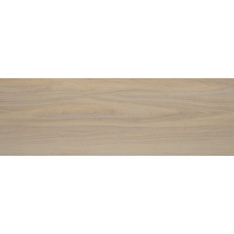 Плитка Токио 20×60 глянцевая (TWA11TOK404)