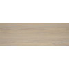 Плитка Токио 20×60 глянцевая (TWA11TOK404)
