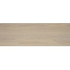 Плитка Токио 20×60 глянцевая (TWA11TOK404)