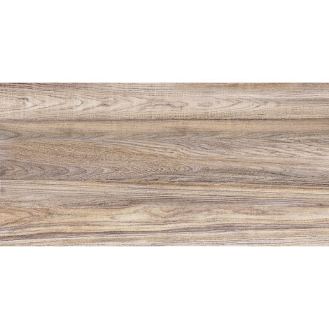 Плитка Дублин 24,9×50 глянцевая (TWU09DBL404)