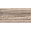 Плитка Дублин 24,9×50 глянцевая (TWU09DBL404)