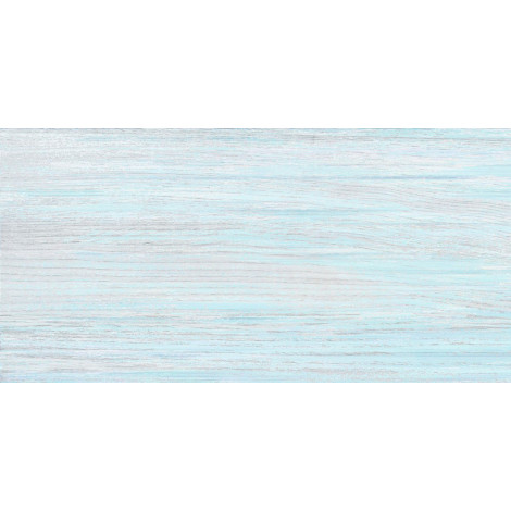 Плитка Норт 24,9×50 глянцевая (TWU09NRT606)