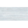 Плитка Пластер 24,9×50 матовая (TWU09PSR006)