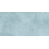 Плитка Ричард 24,9×50 глянцевая (TWU09RCD606)