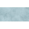 Плитка Ричард 24,9×50 глянцевая (TWU09RCD606)
