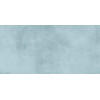 Плитка Ричард 24,9×50 глянцевая (TWU09RCD606)