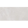 Плитка Риволи 24,9×50 глянцевая (TWU09RVL007)
