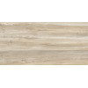 Плитка Вудмикс 24,9×50 глянцевая (TWU09WDX404)