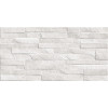 Плитка Дискавер 24,9×50 сахарный эффект (TWU2550DCV14)
