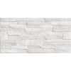 Плитка Дискавер 24,9×50 сахарный эффект (TWU2550DCV14)