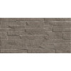 Плитка Дискавер 24,9×50 сахарный эффект (TWU2550DCV24)