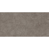 Плитка Дискавер 24,9×50 сахарный эффект (TWU2550DCV40)
