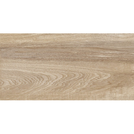 Плитка Эйфория 24,9×50 матовая (TWU2550EPH40)