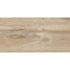 Плитка Эйфория 24,9×50 матовая (TWU2550EPH40)