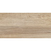 Плитка Эйфория 24,9×50 матовая (TWU2550EPH40)