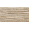 Плитка Эйфория 24,9×50 матовая (TWU2550EPH44)