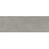 Плитка Дакар 30×90 матовая (TWU3090DKR77R)