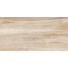 Плитка Артвуд 30×60