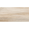 Плитка Артвуд 30×60