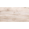 Плитка Плэй Вуд 30×60