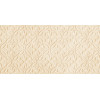 Плитка Петра Анис 24,9×50