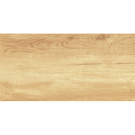 Плитка Парадайс Вуд 25×50