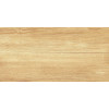 Плитка Парадайс Вуд 25×50